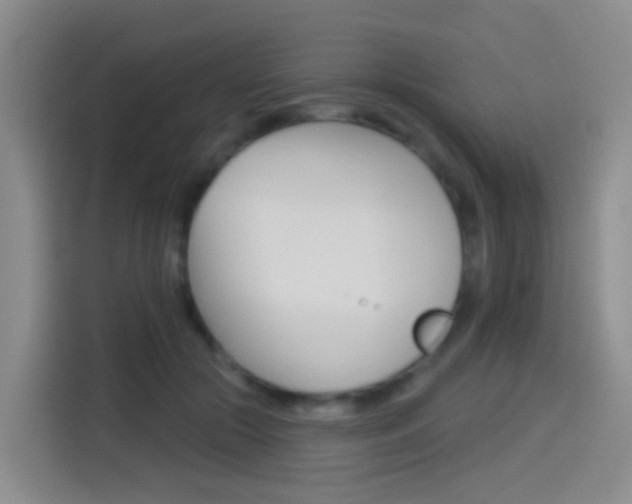X0000114550553200910190953