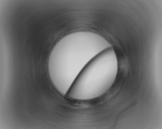 X0000114550559200910190953