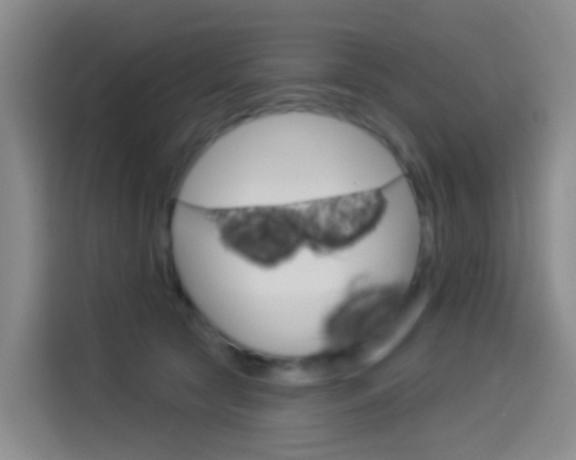 X0000114550561200910190953