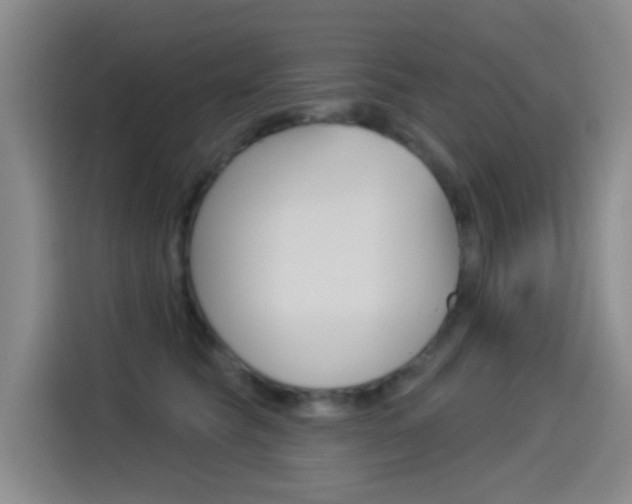X0000114550565200910190953