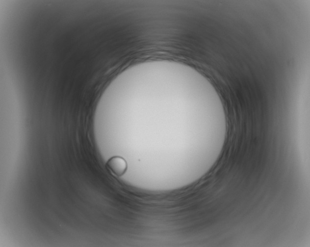 X0000114550566200910190953