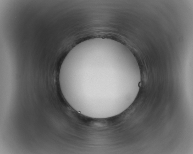 X0000114550567200910190953