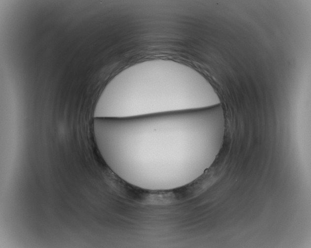 X0000114550571200910190954
