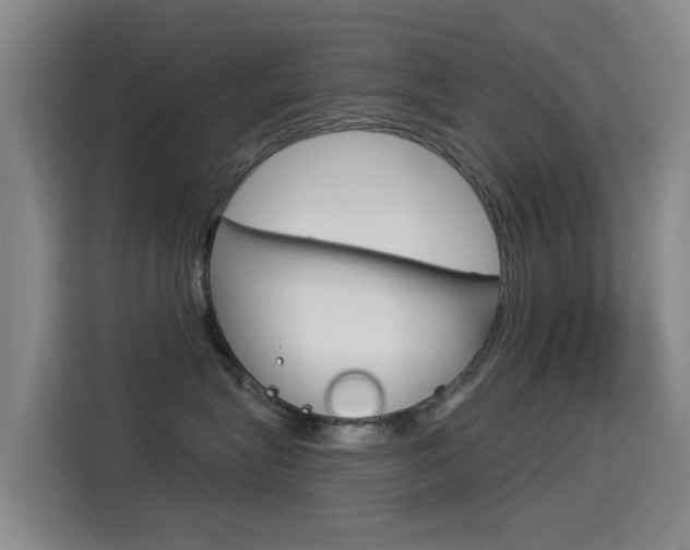 X0000114550575200910190954