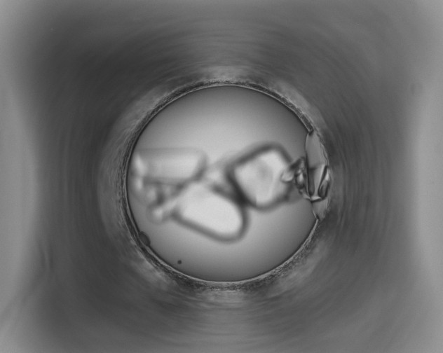 X0000114550577200910190953