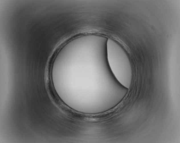 X0000114550582200910190953