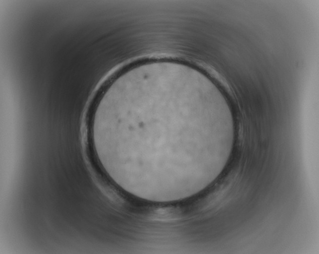 X0000114550584200910190953