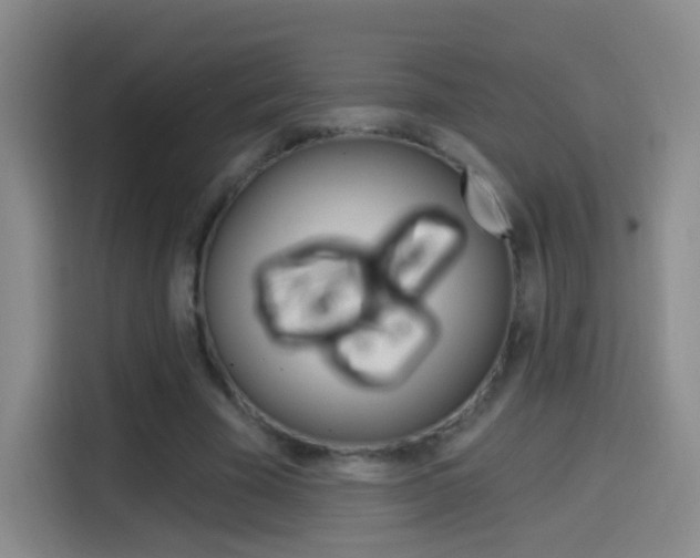 X0000114550585200910190953