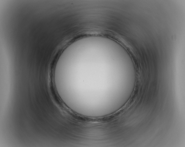X0000114550586200910190953