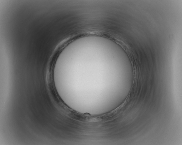 X0000114550587200910190953
