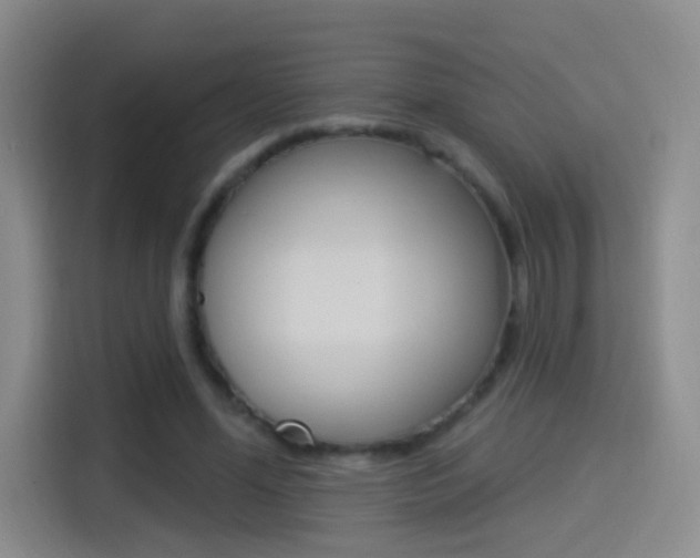 X0000114550588200910190953