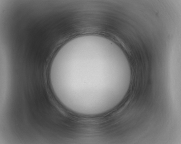 X0000114550589200910190953