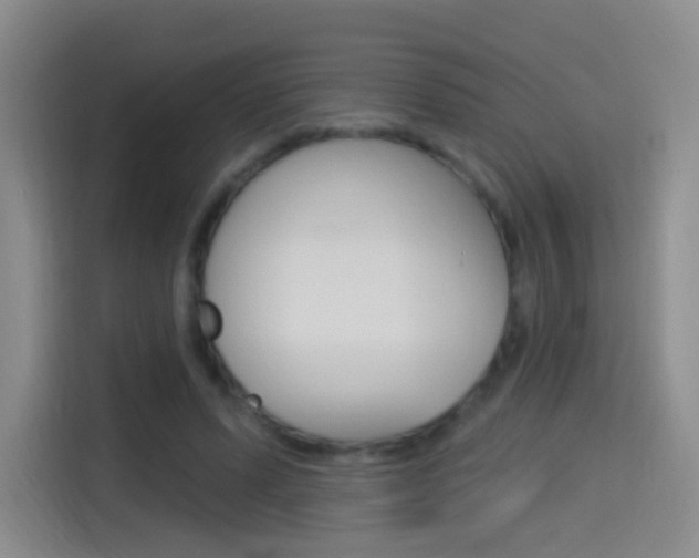 X0000114550591200910190953