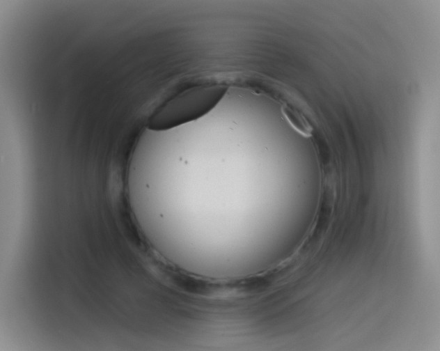 X0000114550593200910190953