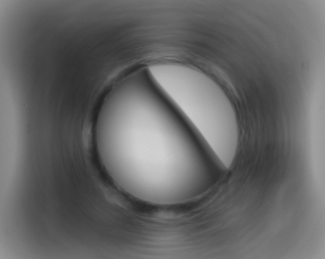 X0000114550596200910190953