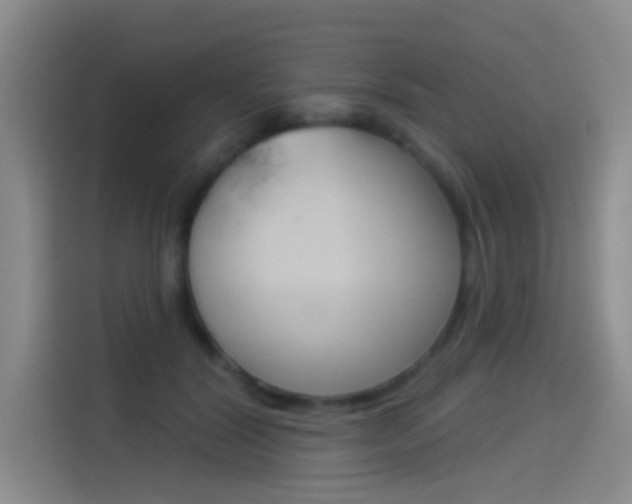X0000114550604200910190953