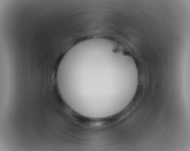 X0000114550610200910190953