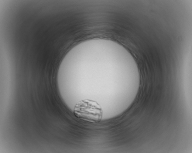 X0000114550611200910190953