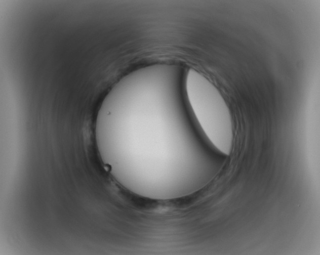 X0000114550612200910190952