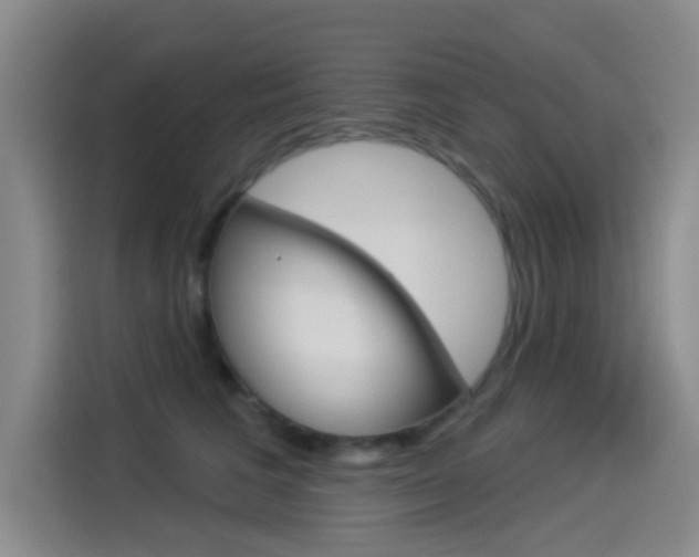 X0000114550613200910190952