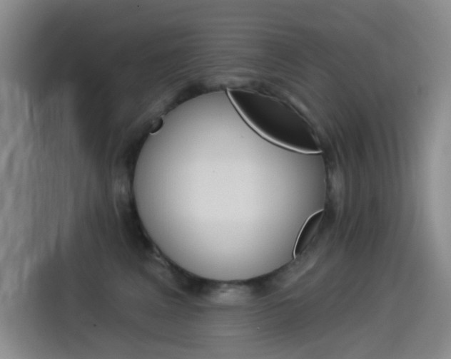 X0000114550617200910190952