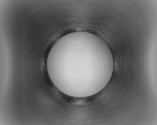 X0000114550618200910190952