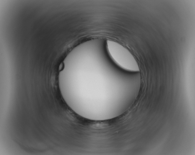 X0000114550619200910190952