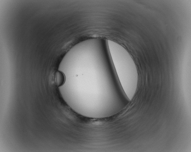 X0000114550620200910190952