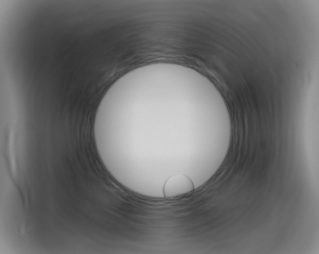 X0000114550621200910190952