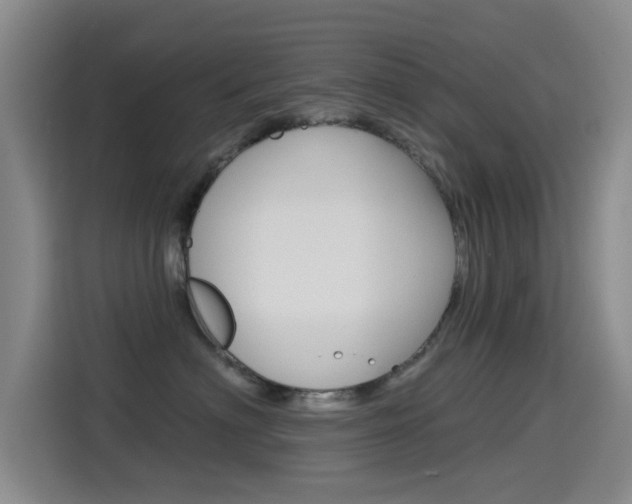 X0000114550622200910190952
