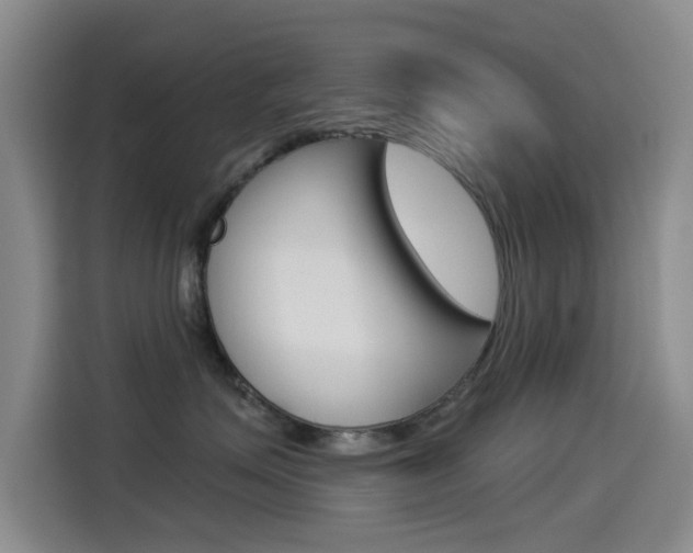 X0000114550623200910190952