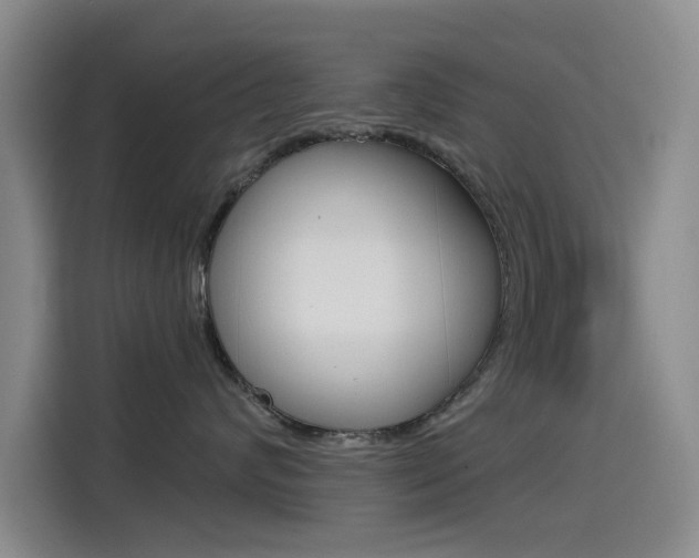 X0000114550624200910190952