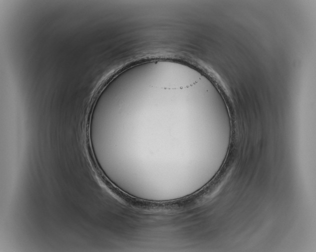 X0000114550625200910190952