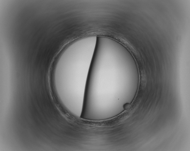 X0000114550626200910190952