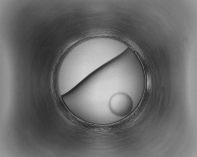 X0000114550627200910190952