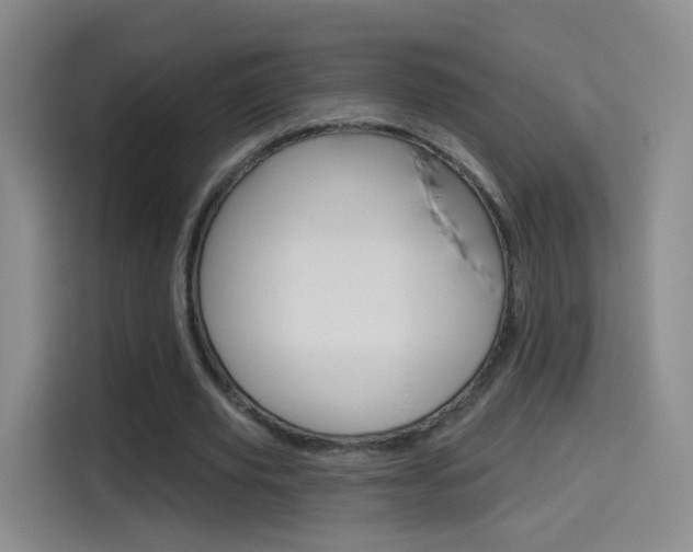 X0000114550629200910190952