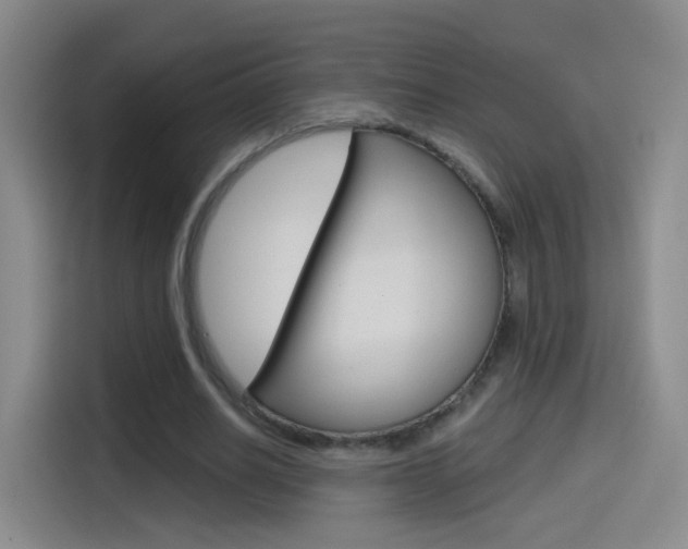 X0000114550630200910190952
