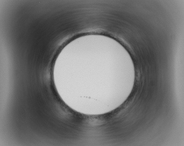 X0000114550632200910190952