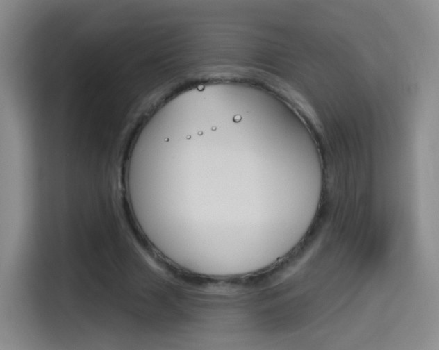 X0000114550633200910190952
