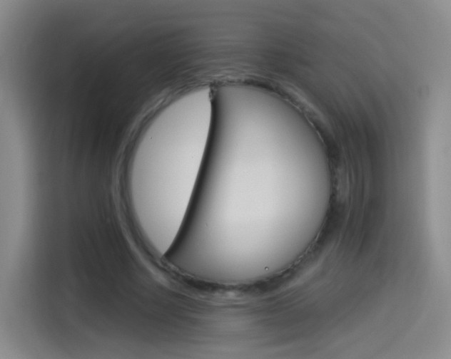 X0000114550634200910190952