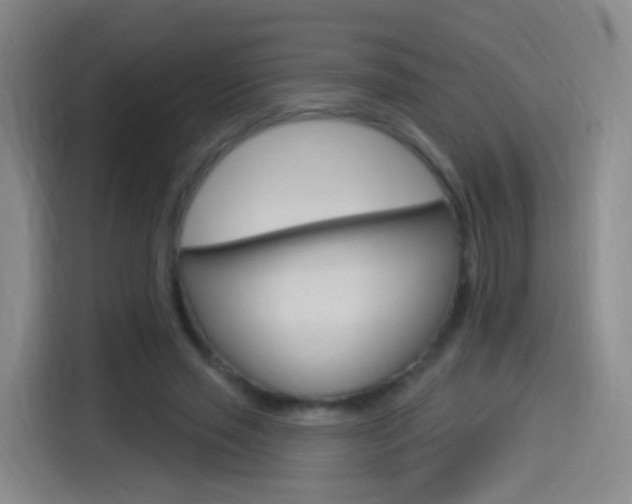 X0000114550637200910190952