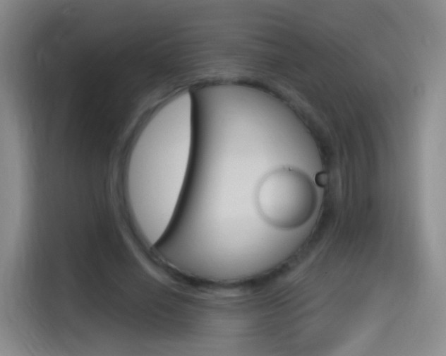 X0000114550638200910190952