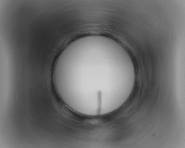 X0000114550639200910190952