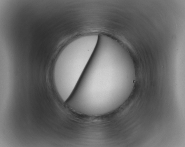 X0000114550640200910190952