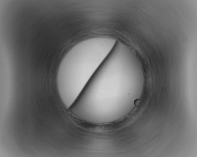X0000114550641200910190952