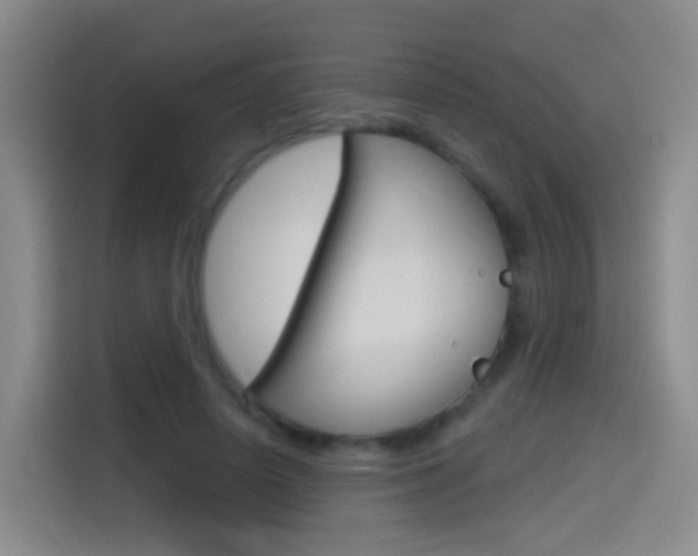 X0000114550642200910190952