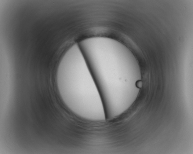 X0000114550644200910190952