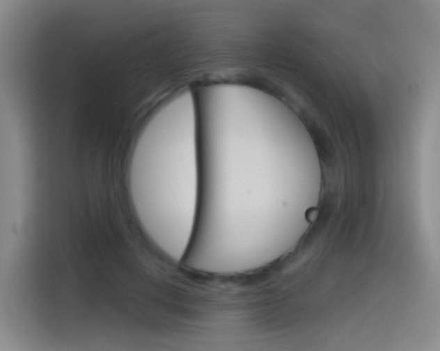 X0000114550648200910190952