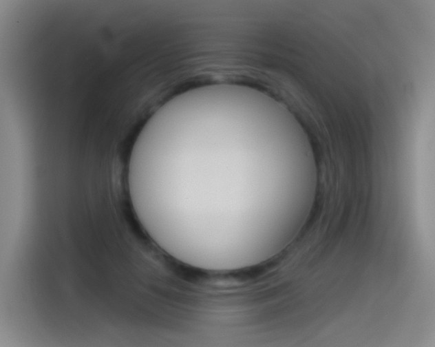 X0000114550650200910190952