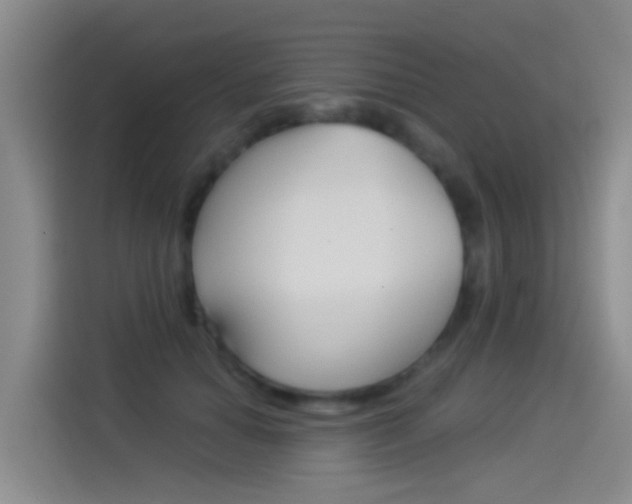 X0000114550654200910190952